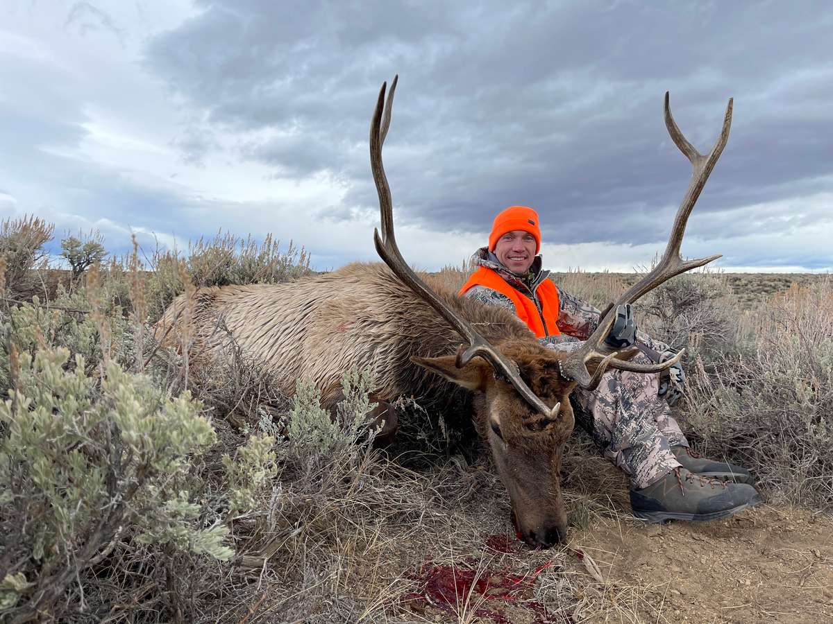 Muzzleloader Elk Hunts in Colorado